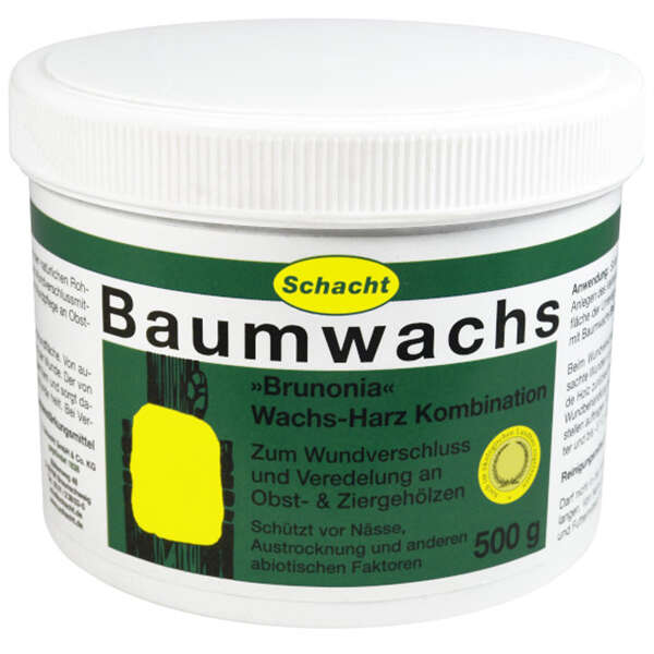 Schacht Baumwachs Brunonia